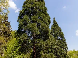 Pronájem kanceláře, Praha - Chodov, Tomíčkova, 8000 m2