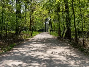 Pronájem kanceláře, Praha - Chodov, Tomíčkova, 1500 m2