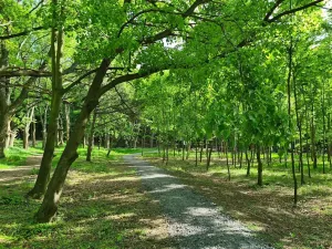 Pronájem kanceláře, Praha - Chodov, Tomíčkova, 500 m2