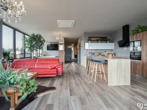 Pronájem bytu 1+kk, Olomouc, Kubíčkova, 97 m2