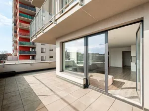 Pronájem bytu 3+kk, Pardubice - Zelené Předměstí, Pod Vinicí, 117 m2