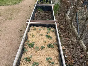 Pronájem bytu 1+kk, Praha - Strašnice, Michelangelova, 37 m2