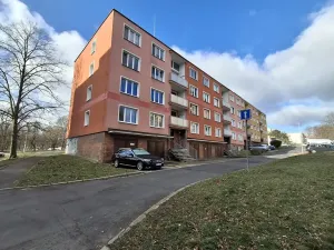 Prodej bytu 3+1, Cheb, Americká, 61 m2