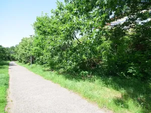 Pronájem bytu 5+kk, Praha - Libeň, Nad Okrouhlíkem, 186 m2