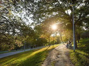 Prodej bytu 1+kk, Praha - Nusle, Bělehradská, 52 m2