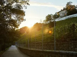 Prodej bytu 2+kk, Praha - Nusle, Bělehradská, 43 m2