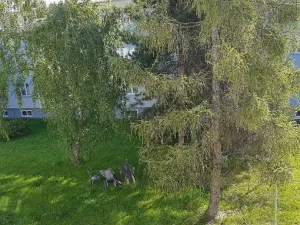 Prodej bytu 2+1, Praha - Čakovice, Vojáčkova, 57 m2