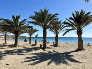 Prodej bytu 3+kk, Santa Pola , Alicante, Costa Blanca, Provincie Alicante, Španělsko, 82 m2