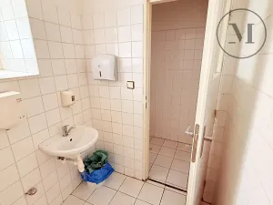 Prodej výrobních prostor, Netolice, Bavorovská, 650 m2