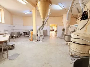 Prodej výrobních prostor, Netolice, Bavorovská, 650 m2