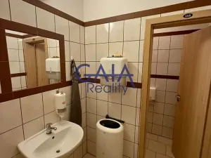 Pronájem obchodního prostoru, Hodonín, Příční, 364 m2