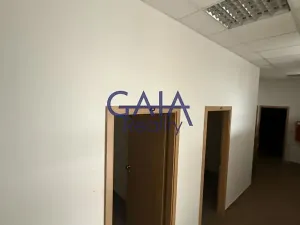 Pronájem obchodního prostoru, Hodonín, Příční, 364 m2