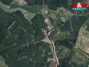 Prodej lesa, Klobouky u Brna, 11688 m2