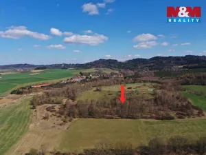 Prodej lesa, Obytce, 20042 m2