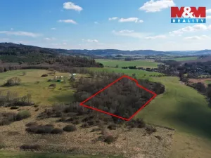 Prodej lesa, Obytce, 20042 m2