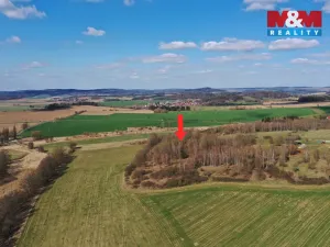 Prodej lesa, Obytce, 20042 m2