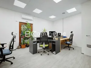 Pronájem kanceláře, Brno, Hlinky, 230 m2