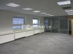 Pronájem skladu, Brno, 575 m2