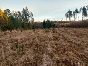 Prodej lesa, Pošná, 12283 m2