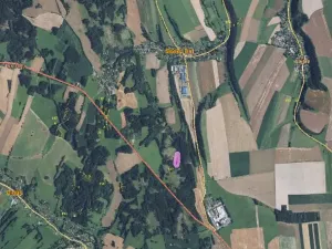 Prodej lesa, Široký Důl, 1408 m2