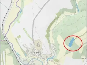 Prodej lesa, Číchov, 7090 m2