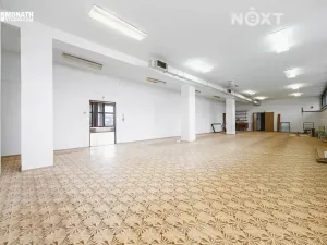 Prodej komerční nemovitosti, Čejč, 3500 m2