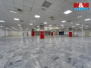 Pronájem obchodního prostoru, Plzeň - Východní Předměstí, Americká, 1603 m2