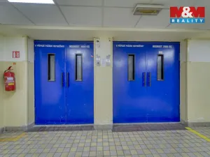 Pronájem obchodního prostoru, Plzeň - Východní Předměstí, Americká, 1603 m2