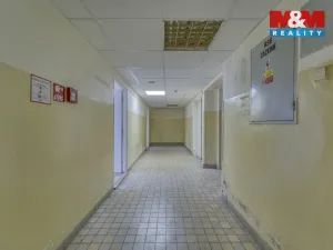 Pronájem obchodního prostoru, Plzeň - Východní Předměstí, Americká, 1603 m2