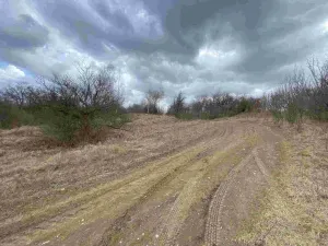 Prodej pole, Javorník, 71 m2