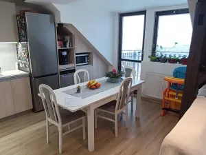 Prodej vícegeneračního domu, Brno, Nováčkova, 380 m2