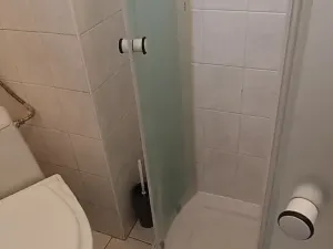 Prodej vícegeneračního domu, Brno, Nováčkova, 380 m2