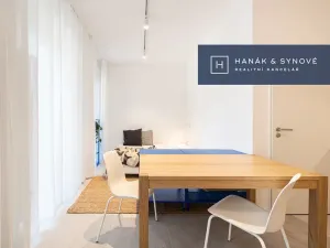 Pronájem bytu 1+kk, Brno, Francouzská, 26 m2
