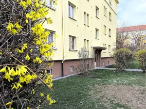 Prodej bytu 1+1, Brno, Klímova, 45 m2