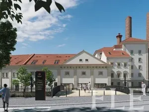 Pronájem bytu 2+kk, Praha - Nusle, Muzikova, 58 m2