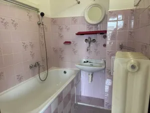 Prodej bytu 1+1, Praha - Vinohrady, Písecká, 52 m2