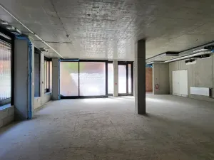 Pronájem obchodního prostoru, Praha - Staré Město, U milosrdných, 147 m2