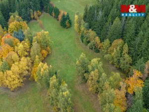 Prodej louky, Tanvald - Šumburk nad Desnou, 1444 m2