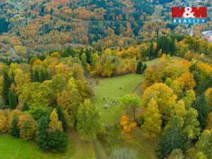 Prodej louky, Tanvald - Šumburk nad Desnou, 1589 m2