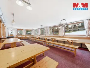 Prodej ubytování, Čenkovice, 297 m2