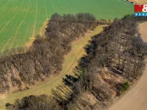 Prodej louky, Tachov, 12761 m2