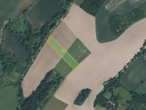 Prodej pole, Kout na Šumavě, 31661 m2