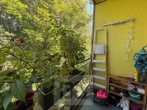 Pronájem bytu 2+1, Brno, 59 m2