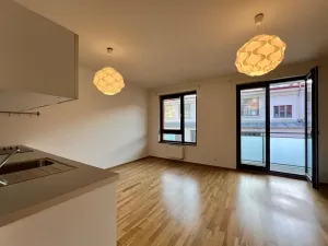 Pronájem bytu 1+kk, Praha - Žižkov, Baranova, 35 m2