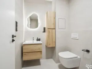 Pronájem bytu 1+kk, Olomouc, Hálkova, 30 m2