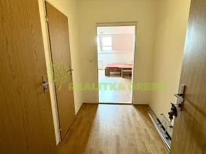 Pronájem bytu 1+kk, Ostrata, 39 m2