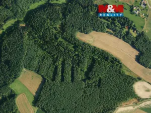 Prodej lesa, Všelibice - Přibyslavice, 23199 m2