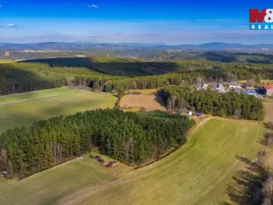 Prodej lesa, Všelibice - Přibyslavice, 23199 m2