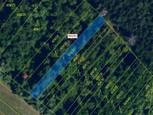 Dražba lesa, Ivančice, 409 m2