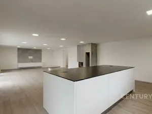 Prodej rodinného domu, Ivaň, 319 m2